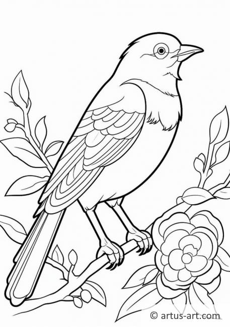 Oriole Coloring Page For Kids